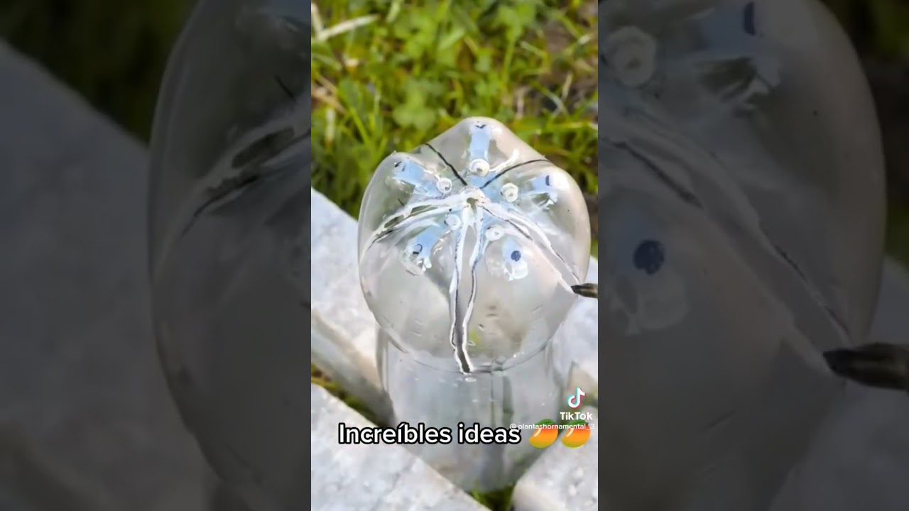 Recolector de frutos casero!! 