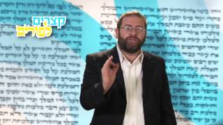 הרב לונדין -תחפושת בפורים. רק בערוץ מאיר.