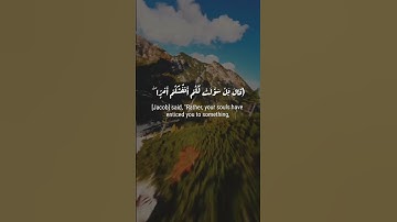فصبر جميل💚 | سورة يوسف | القارئ حمزة سعيد | #quran #القرآن_الكريم #القرآن