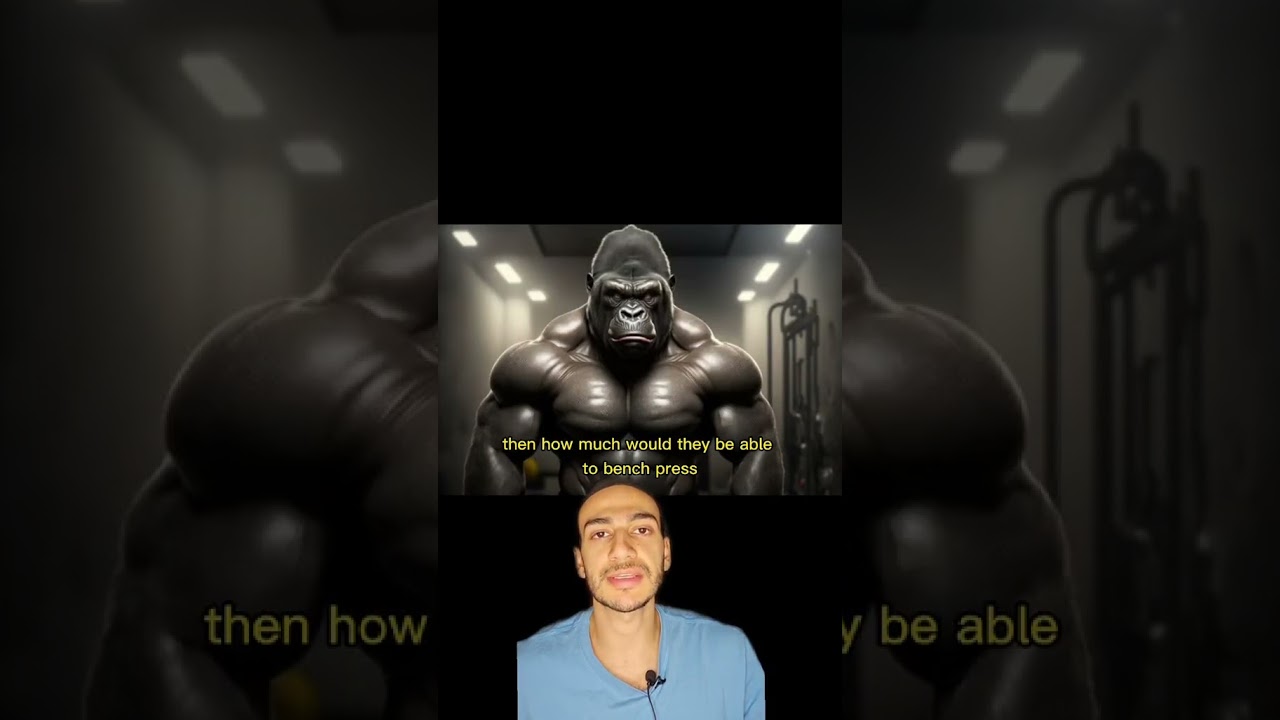 How much can a gorilla bench press 