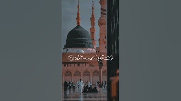 قرآن كريم الا يستحق اعجاب ومشاركة