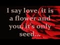 THE ROSE (Lyrics) - SANDY LAM 林憶蓮