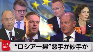 戦争責任を国民も負うべき？一枚岩になれない欧州　ロシア人観光客めぐり温度差浮き彫り（2022年9月1日）