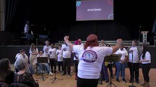 SYSTEMIC at the SHINE Festival! - March 2026 screenshot 3