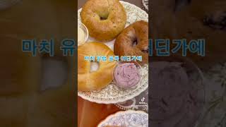 제주 도심속유럽 감성 물씬 나는 조용한 공간  #제주카페추천 #제주엔틱카페#연동카페 #제주핫플#제주도여행 #제주감성카페 #제주모락
