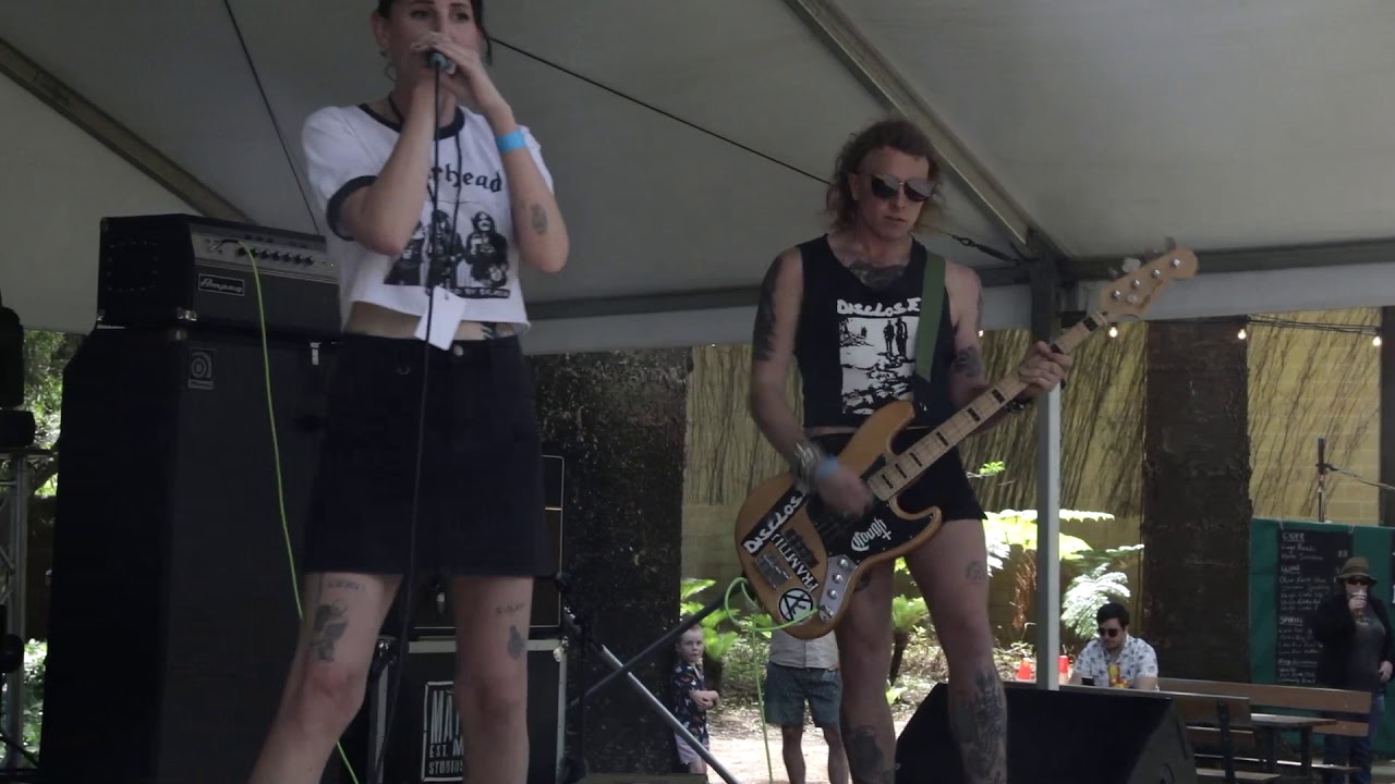 Live From In The Pines 2020: Paranoias