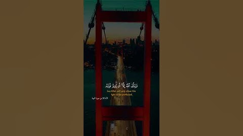 يريدون أن يطفئوا نور الله بأفواههم ويأبى الله إلا أن يتم نوره ولو كره الكافرون #قرآن #سورة_التوبة