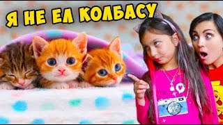 НЕ ЗАСМЕЙСЯ ЧЕЛЛЕНДЖ с КОТАМИ #4 с Мамой Funny Cat реакции ПОПРОБУЙ НЕ ЗАСМЕЯТЬСЯ сборник Валеришка НЕ ЗАСМЕЙСЯ ЧЕЛЛЕНДЖ с КОТАМИ #4 с Мамой Funny Cat реакции ПОПРОБУЙ НЕ ЗАСМЕЯТЬСЯ сборник Валеришка