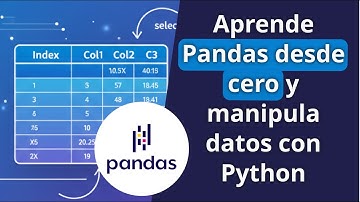 Pandas desde CERO: Domina DataFrames y Series en #Python 🐼📊 | Tutorial Completo para Principiantes