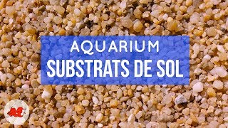 Quel sable mettre dans un aquarium ?