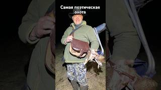 Вальшнепиная тяга - самая спокойная и красивая охота! #hunting #охота #вальдшнеп #охотанавальдшнепа