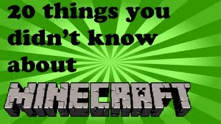 20 Things You Might Not Know About Minecraft -HD