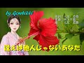 「逢えば他人じゃないあなた」/入江芙蓉 Japanese Taishogoto 大正琴  /Gerobikki