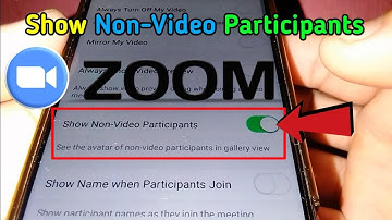 How to Show Non-Video Participants in Zoom Meeting