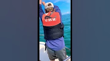 False Albacore CATCH 🐟 #shorts #viral #fishing #gopro