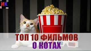 ТОП 10 самых интересных фильмов о котах и кошках