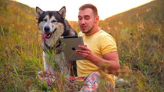 Сказки от Хаски / сказка про упрямого Зайчонка / русские сказки для детей Сказки от Хаски / сказка про упрямого Зайчонка / русские сказки для детей
