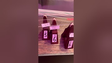 Day 1: Beginner Guzheng