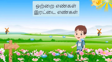 TERM 3- 2ND STD -MATHS -ஒற்றை இரட்டை எண்கள்