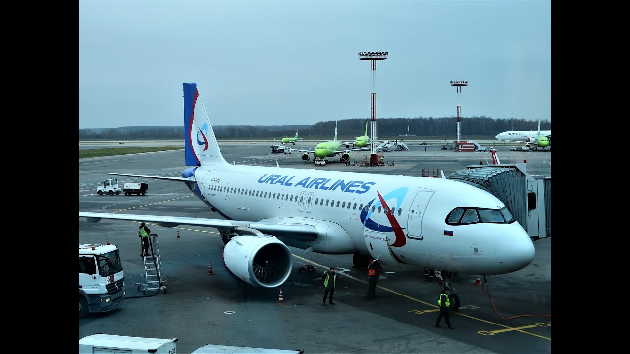 самолёт уральские авиалинии а321 а321. уральские аирлинес самолет. аэропорт домодедово ural airlines. аэробус а320 нео уральские авиалинии. а380 уральские авиалинии.