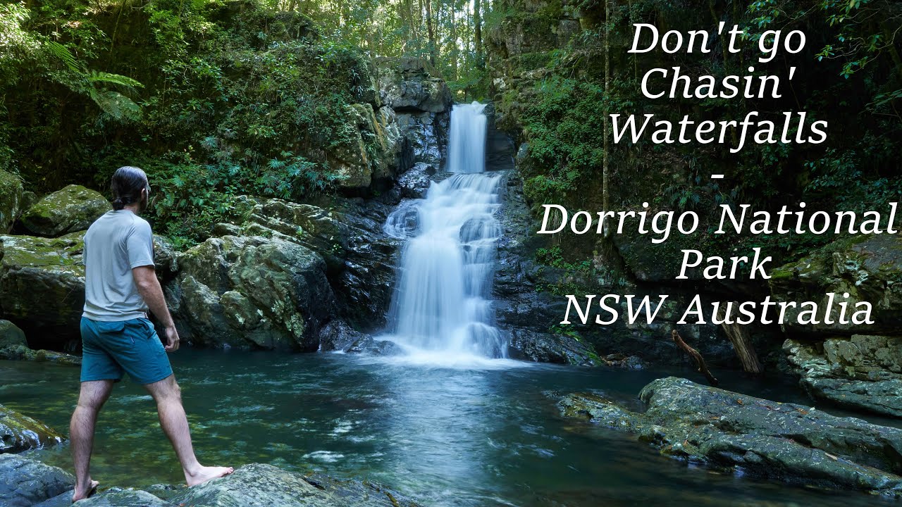 Chasing Waterfalls in an AMAZING Rainforest - Dorrigo National Park NSW | Tamron 17-70 Vlog