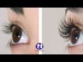 Apply 1 time before sleep , grow your eyelashes Naturally 100 % working