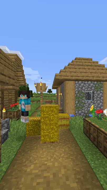 pov: kamu villager dan nevingaming datang ke village