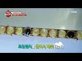 MBN 생생정보마당 156회 로열젤리 180518 로얄제리 royal jelly 가족