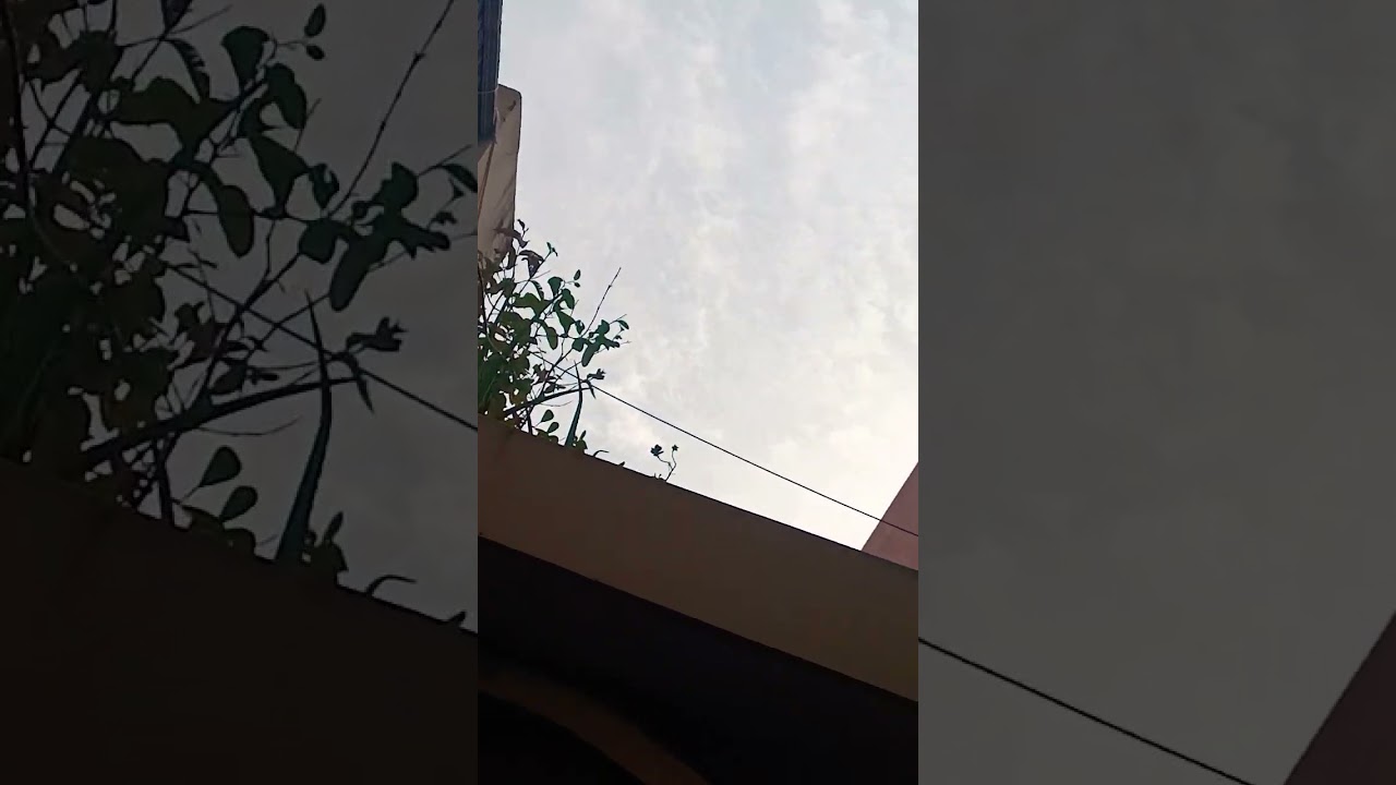 life in nature🌿🍃 