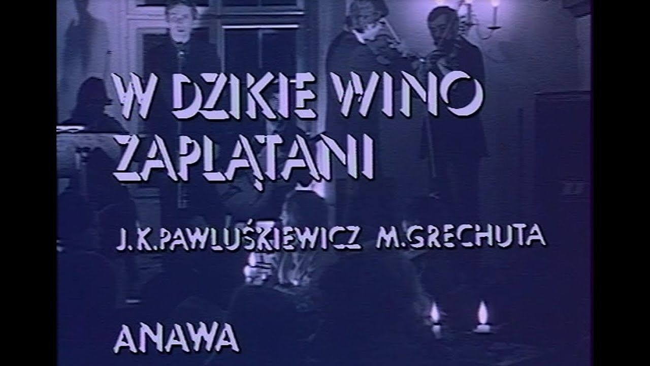 Marek Grechuta W Dzikie Wino Zaplątani