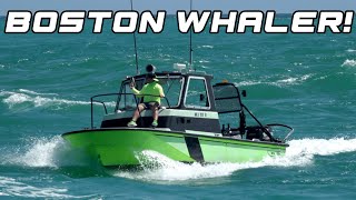 Boston Whaler Coming in!