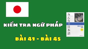 【Minna no nihongo】kiểm tra ngữ pháp bài 41 - bài 45