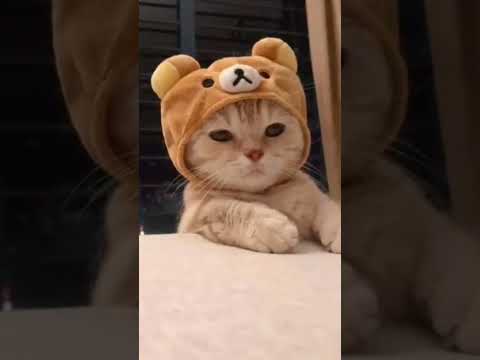 رح خلي خدودك حمر    احمد وشوشو  لايك اشتراك