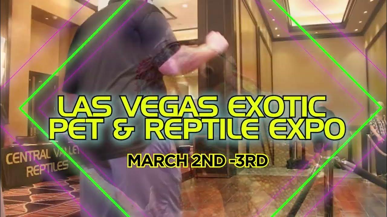 Las Vegas Exotic Pet & Reptile Expo 2024 YouTube