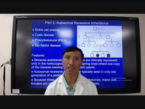 Pattern of Inheritance 1