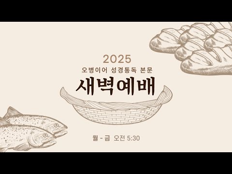 수지선한목자교회 20251121 오병이어 성경통독 본문 새벽예배 LIVE 사도행전 4 6장 한반도 전도사