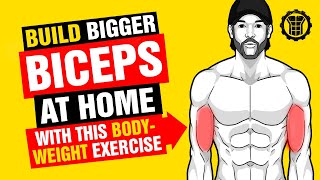BUILD BIGGER BICEPS AT HOME With This Body-Weight Exercise - Head Banger Pull-Up - SixPackFactory