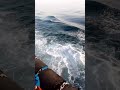 #sea#waves#sailing#shortsvideos#short