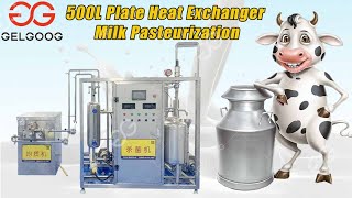 Continuous 500L Plate Heat Exchanger Milk Pasteurization Live Broadcast