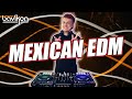 Mexican EDM Mix 2024 | #8 | Latin EDM 2024 | EDM Mexicano | Latin Remix House & Guaracha by bavikon