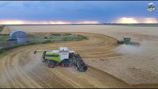 Wheat Harvest near Burlington Colorado