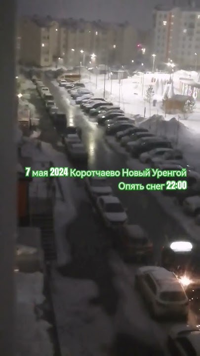 Опять снег/Коротчаево Новый Уренгой #крайнийсевер #myshorts #снег# ...