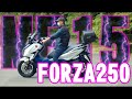 Forza250 mf15 316