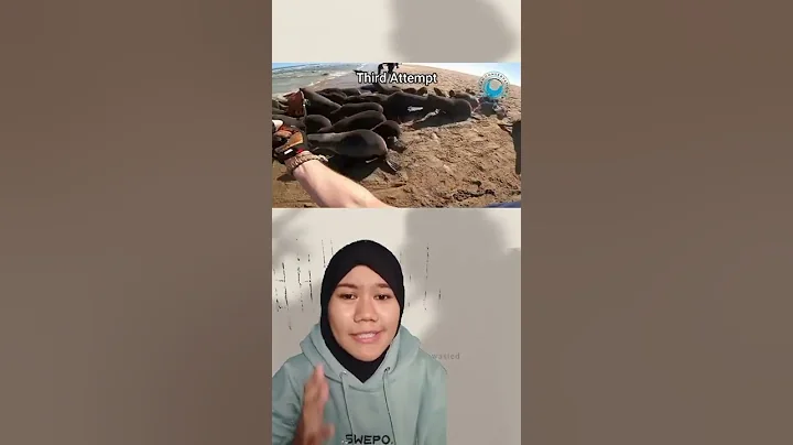 JULIUS, *SINGA LAUT YANG KESANGKUT BANYAK JARING!!