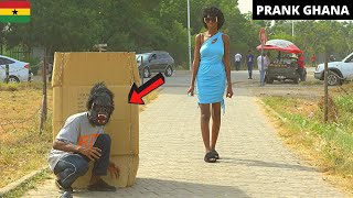 😂😂😂What A Scatter! Compilation 15. Angry King Kong Gorilla | GoldMan Statue | Bushman