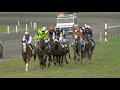 Ren 9 waregem koerse 2019 st leger vlakke galop