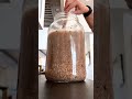 How to FERMENT Chicken Feed (ASMR)