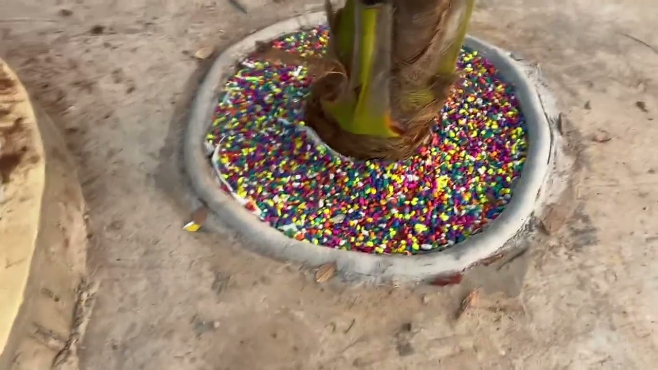 My Expensive small garden # Final part😝#Enjoy