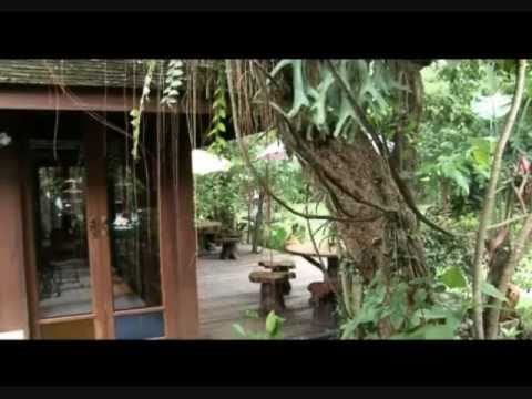 Drug & Alcohol Rehab—The Cabin Chiangmai, Thailand—on RodMcNeil.TV