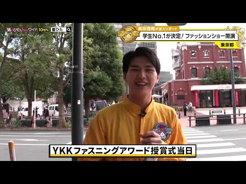 猫のひたいほどワイド 猫ひた 真田理希 ６点 セット hqdefault.jpg
